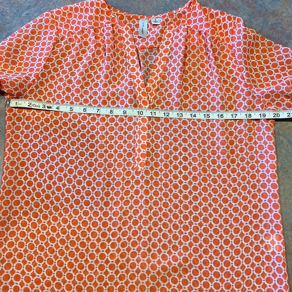 Bright Springy Tacera Semi-Sheer Blouse - Picture 5 of 7